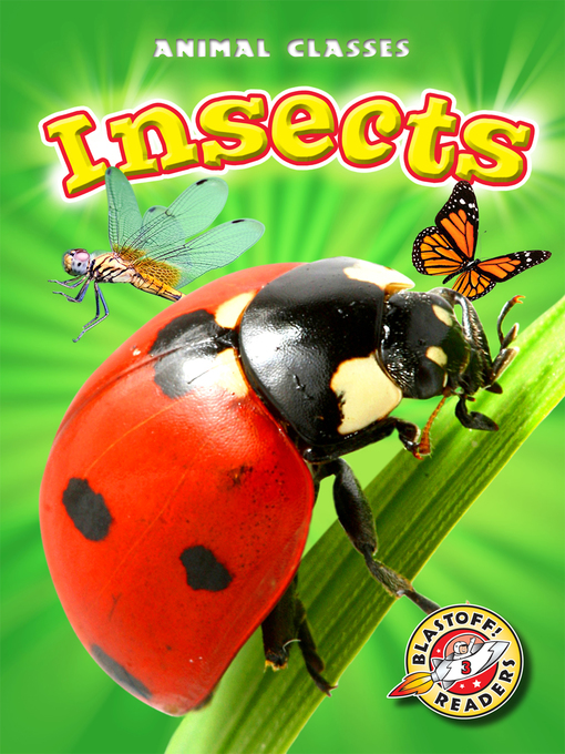 Cover image for Insects